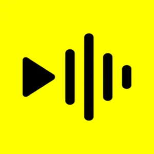 Best App To Make Reels - ReelsApp Logo