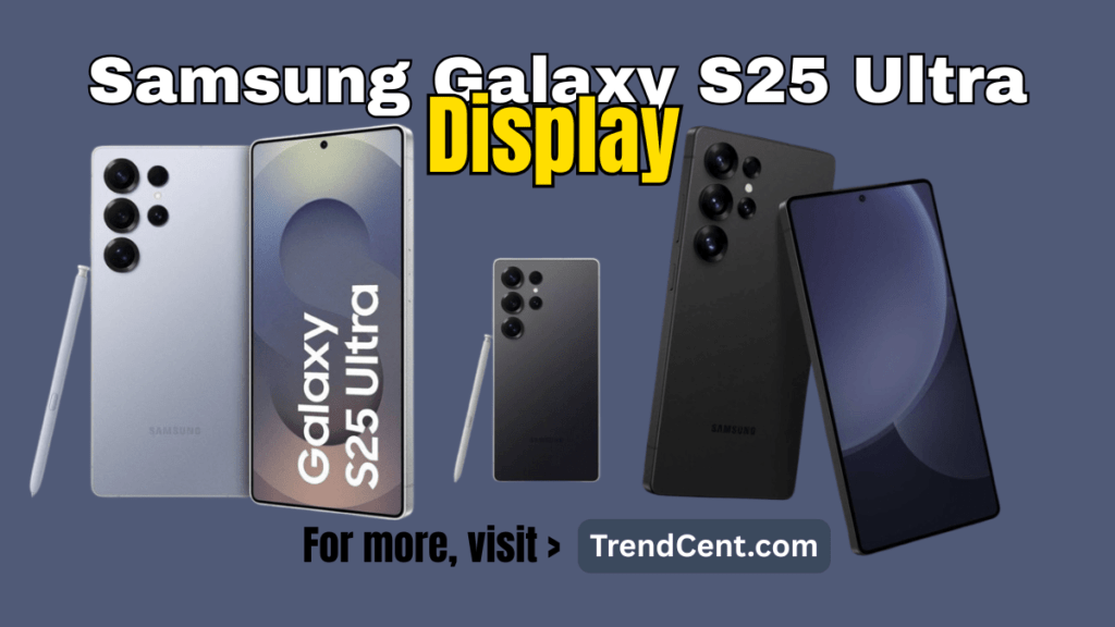 Samsung Galaxy S25 Ultra Display